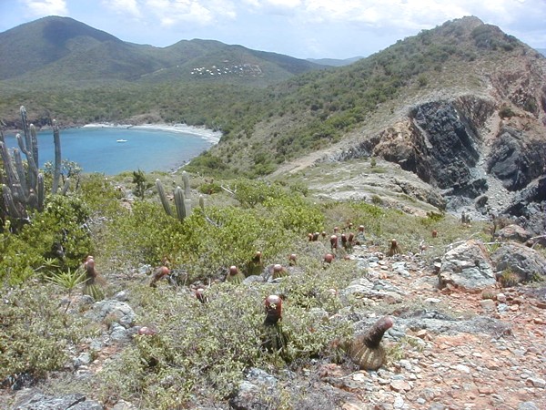 A view of St. John Island from the top of Ram Head Trail