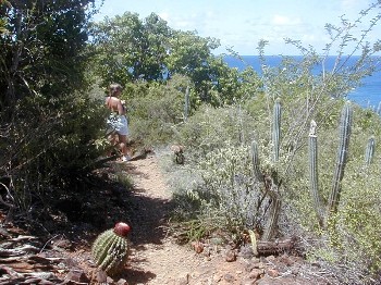 A woman on a hiking trail surrounded by topical cacti