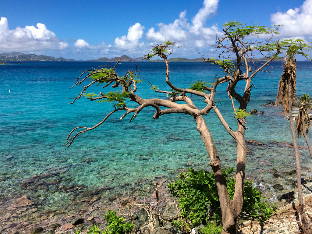 45 Things to Do on St. John, U.S. Virgin Islands