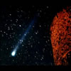 Comet Hykutake from the Catherinberg Ruins, St. John USVI (22,397 bytes)